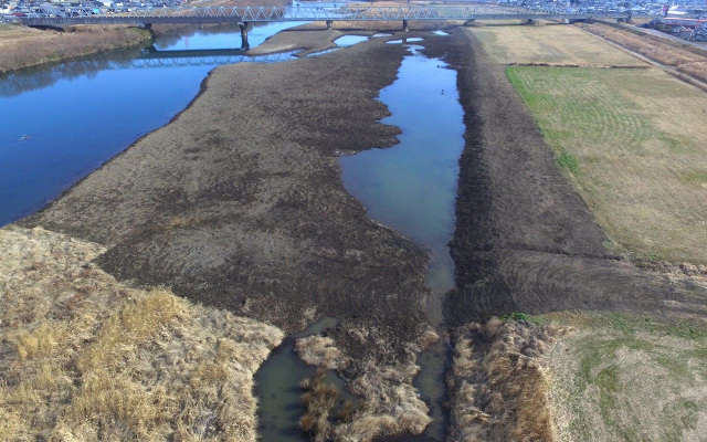 令和5年度揖斐川中流部樹木伐採工事